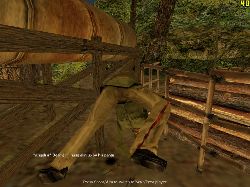 Alin_wedgie.JPG