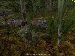 Tree_hat_hack_1.JPG