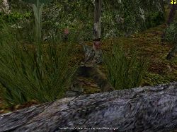 Tree_hat_hack_2.JPG