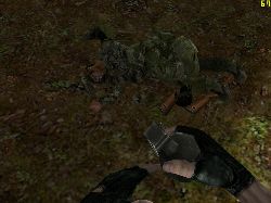 Waking_the_babies.JPG