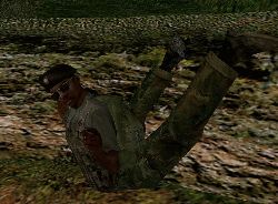 mousehole1.jpg