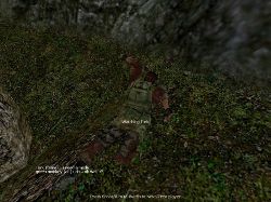 MIKEPC_2004-04-04_21-12-48.jpg